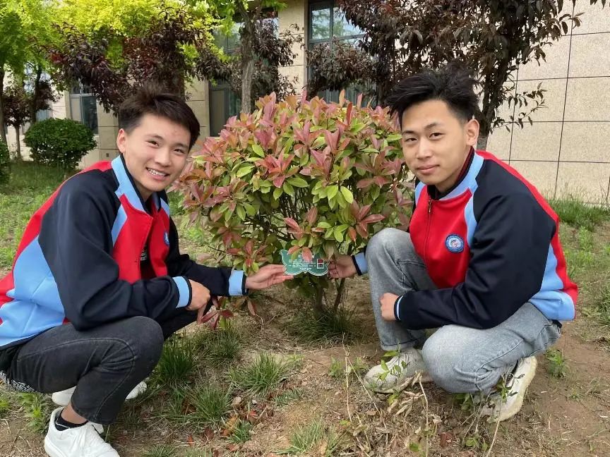 绿植9.jpg