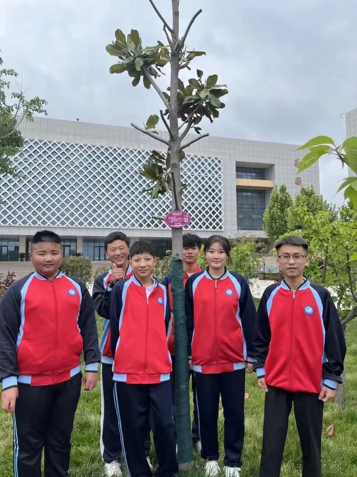 绿植13.jpg